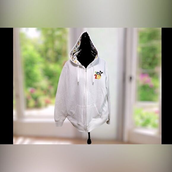 🔥🔥 DisneyParks Disneyland 2020 Hoodie Sweatshirt Jumper Zip-up jacket Size 1X - Picture 2 of 13